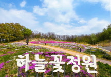 도봉구, 초안산 하늘꽃정원에 완연한 봄이 활짝