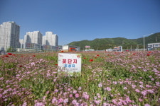 울산 북구, 도심지 방치된 공간 봄꽃으로 물들다