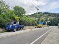 함양군, 가로수 및 시가지 화단 등 가로환경 지속 정비