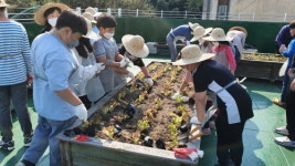 해운대구 좌3동 주민자치위원회, 내 손으로 가꾸는 초록텃밭 운영