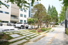 연제구, 열린청사 걷고싶은 행정타운로 조성