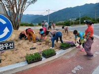 합천군 초계면, 하남회전교차로 꽃밭 조성