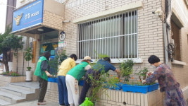 부산 동구, 초량3동 여름맞이 초화 식재