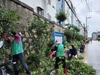 부산 사상구 주례3동, 여름맞이 환경정비 실시