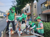 부산 서구 동대신3동 새마을지도자협의회, 주민자율 방역 실시