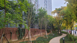 녹색도시 대구, 기후대응 도시숲 조성 추진