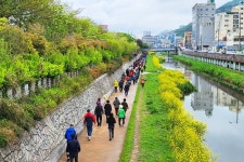 부산 사상구, 제7회 학장동 고향의 강 문화축제 성황리 개최