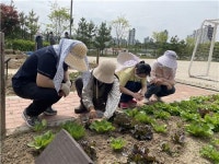 양주시, 도담학교에 치유 텃밭 운영