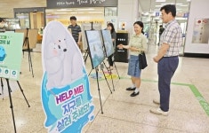 부산 수영구, 세계환경의 날 맞이 기후 위기 관련 사진전시회 개최