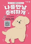 유명해질 준비하~개 용산구, 댕플루언서사업 추진