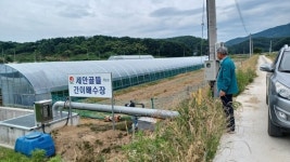 합천군, 장마철 집중호우 대비 농작물 및 농업시설물 현장점검 실시
