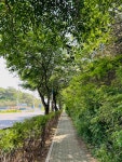 김포시, 다양한 도시숲 조성 시민 녹지공간 마련 분주