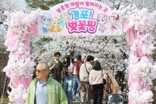 강릉시, 벚꽃핑으로 가득찬 2025 경포 벚꽃 축제 성황리에 마무리
