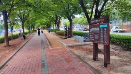 계양구, 효성동 봉오대로 중앙녹지에 맨발걷기길 조성