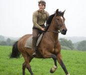 3류 경주마서 할리우드 스타로… 핀더스키의 