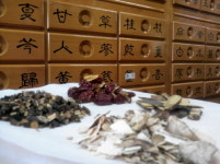 [건강] “공황·불안장애 등 정신질환 한약처방에 86% 호전”