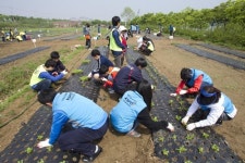 미사리 경정공원, 도심 속 자연농업 학습장 개장