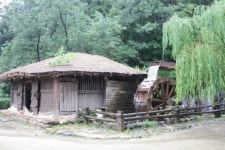 메밀꽃 필 무렵, 봉평 낭만여행 가볼까