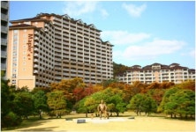 대명리조트 콘도회원권 겨울성수기 예약접수 중  만기 시 100% 환급