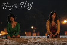 네티즌 최진실 구명운동 속에 장밋빛 인생 최고시청률