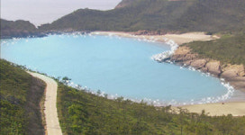 봄의 왈츠 속 하트 해변 화제만발