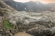 천년학, 말의 성찬 벗고 날아 오르다