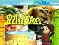 요리보고 세계보고 1000회 특집3부작
