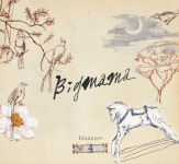 빅마마씨푸드(Bigmama sea-food) | 빅마마 "새롭게 바뀐 음악, 재킷부터 달라졌어요"