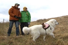 1박2일 PD 촬영기간도 1박2일, 잠도 진짜 길에서