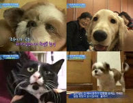 400회 맞은 동물농장, 위기의 동물에 희망을 주다