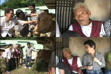 워낭소리 할아버지, 아직도 소 못잊어 무덤가에..