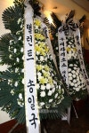 [★포토]장진영 빈소 놓여진 송일국 근조화환