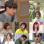 첫방 고양이는 있다, 젊어진 일일극 유쾌·발랄(종합)