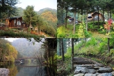 고산자연휴양림·칼봉산자연휴양림, 1일 예약 시작..접속 폭주