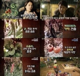 삼시세끼 김지호, 텃밭 브레이커로 등극..먹방의 신