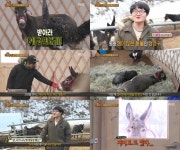 애니멀즈 당나귀 산쵸가 화난 이유는? 질투심