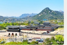 경복궁 창경궁, 야간개장..비공식적 직거래 입장거부