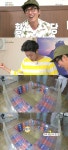 1박2일, 월드컵 문어도사 패러디 낙지도사 등장