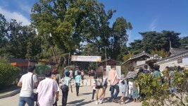 [단독]사도 인기에..사도세자 무덤 북적 하루 4천명 방문