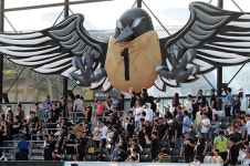 성남FC 비상하는 까치 조형물, 탄천의 명물로 등극