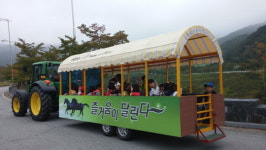 한국마사회 렛츠런팜 장수 목장, 봄 개방