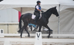 마사회, 승마지도사 최종합격자 112명 배출 