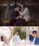 봄밤vs단, 하나의 사랑, 드디어 출격..동반 흥행 할까