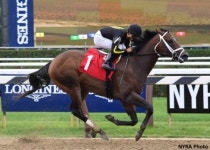 [경마]‘미스터크로우’ 미국 경주 우승