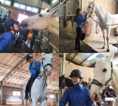 이병헌 동생 이지안, 승마 인증샷..20년만에 다시