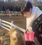 최최차차 차은우, 양도 반한 얼굴 천재..하트 370만 [스타IN★]