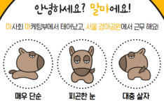한국마사회 새 캐릭터 말마등장