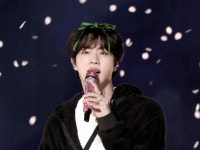 김석진 팬 하길 잘했어 방탄소년단 진, 완벽 라이브+뜨거운 팬사랑