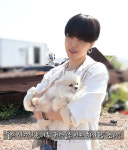 강양이 방탄소년단 지민x아기 댕댕이..질투심 부르는 그림 같은 힐링 조합 천국이 따로 없네♡
