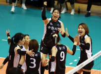 2022 한국실업배구연맹전, 홍천서 25일 개막